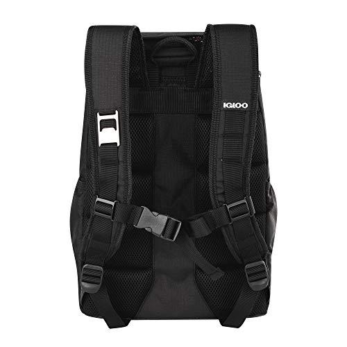 IGLOO 30 CAN LARGE PORTABLE INSULATED SOFT COOLER BACKPACK CARRY BAG, BLACK/RED | igloo | 06