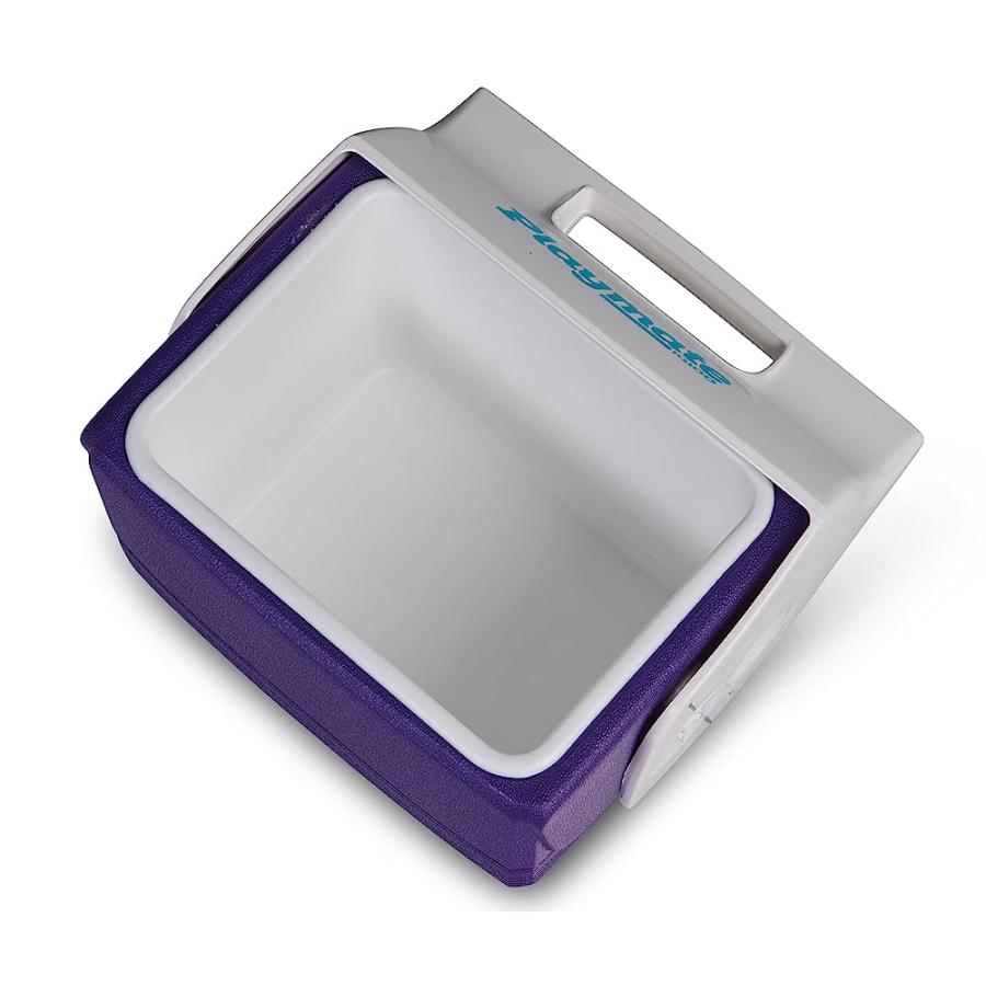 IGLOO 4 QT PLAYMATE MINI HARDSIDED LUNCH BOX COOLER, PURPLE | igloo | 01