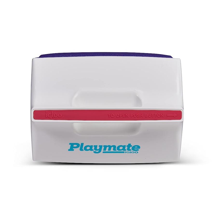 IGLOO 4 QT PLAYMATE MINI HARDSIDED LUNCH BOX COOLER, PURPLE | igloo | 03