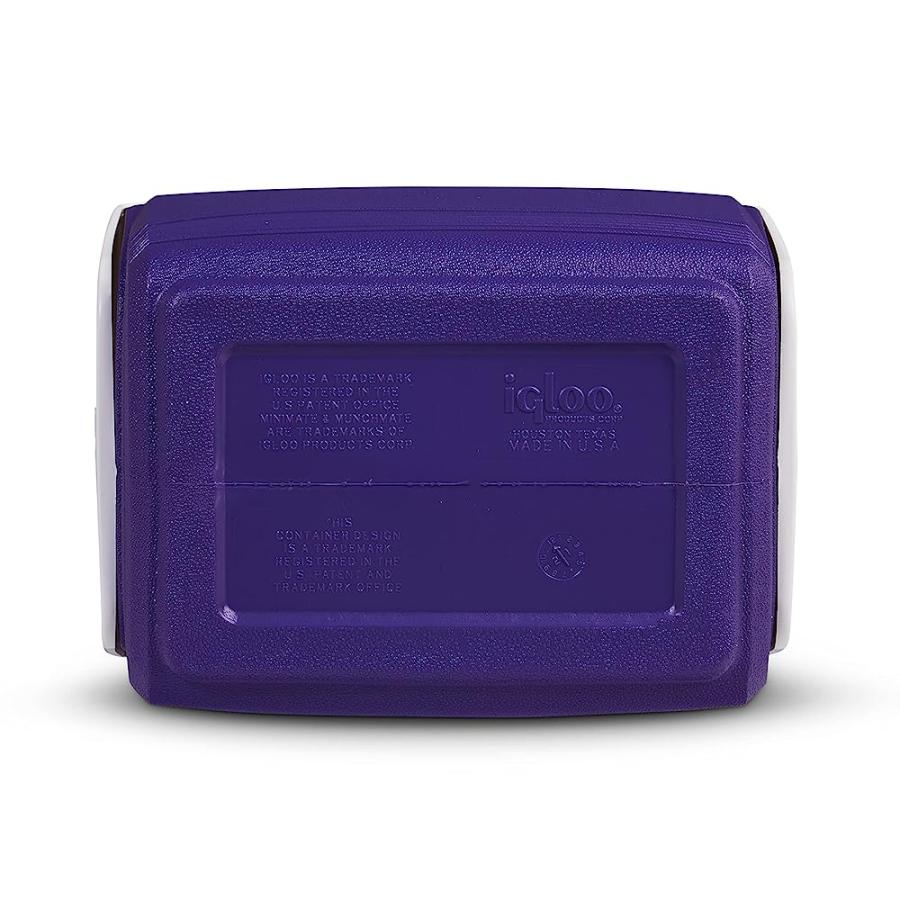 IGLOO 4 QT PLAYMATE MINI HARDSIDED LUNCH BOX COOLER, PURPLE | igloo | 04