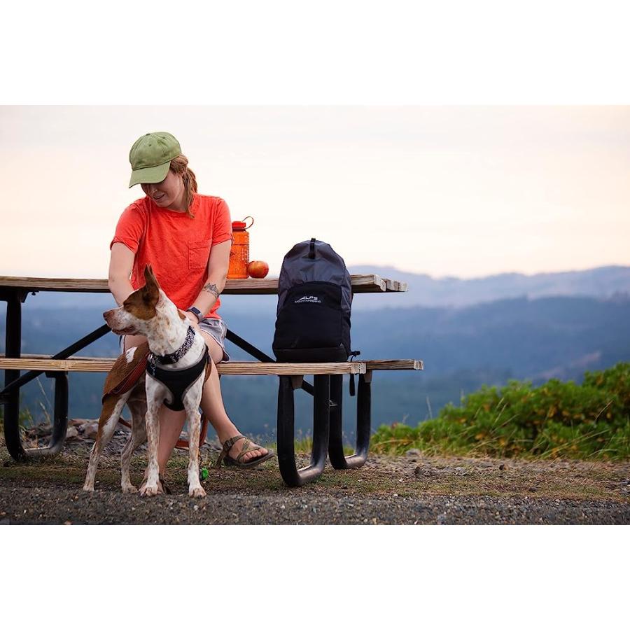 ALPS MOUNTAINEERING TEMPO 18L PACK | ALPS MOUNTAINEERING | 07