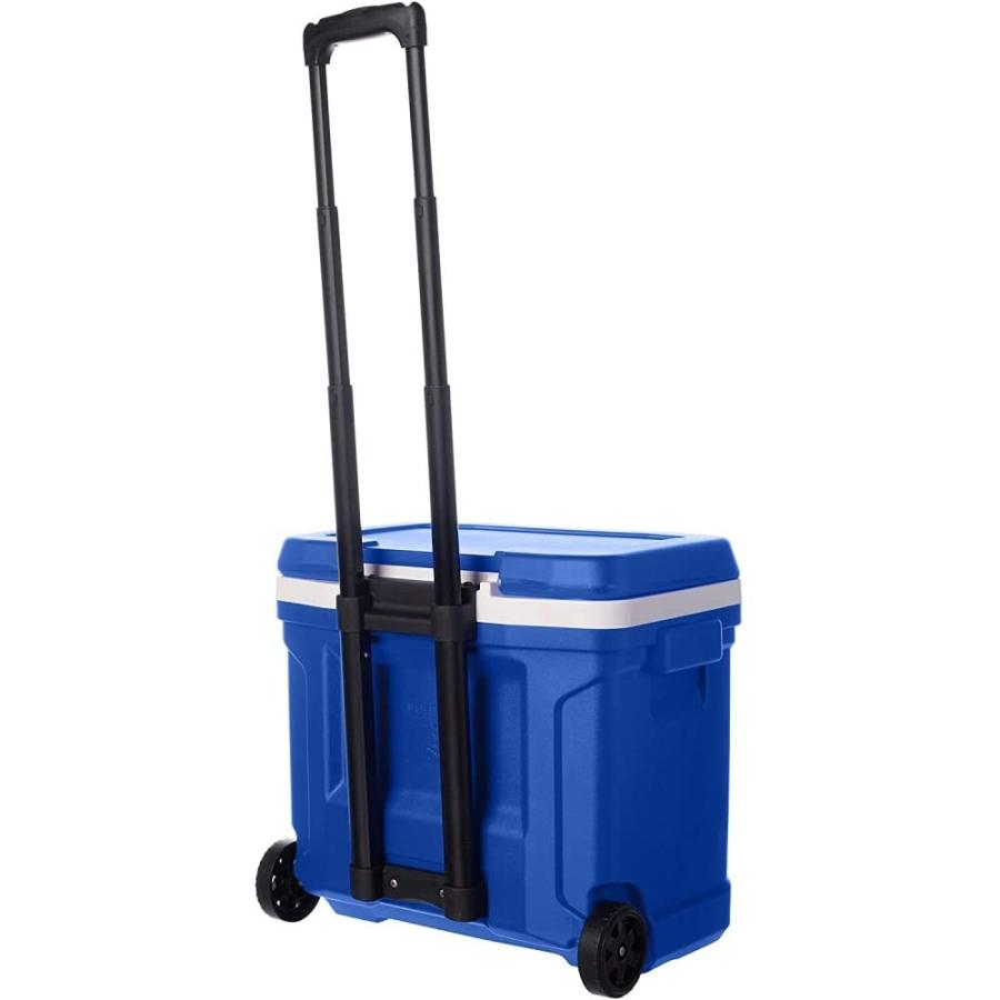 IGLOO PROFILE COMMERCIAL GRADE INSULATED HARDSIDE COOLER, 28 QT BLUE | igloo | 01