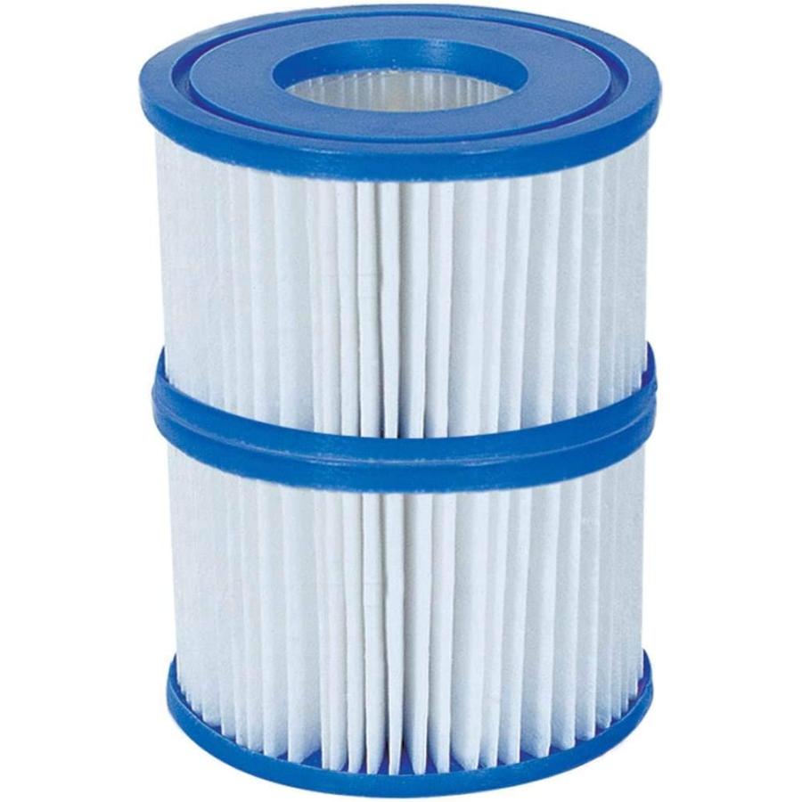 Coleman Inflatable Spa Filter Pump Replacement Cartridge Type VI 90352 (2 Pack) | Coleman