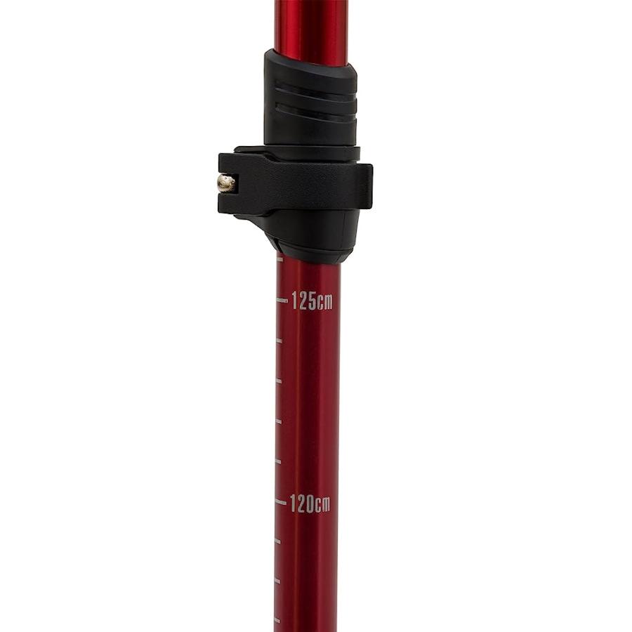 ALPS MOUNTAINEERING CONQUEST TREKKING POLE, RED, RED (7897005) | ALPS MOUNTAINEERING | 01