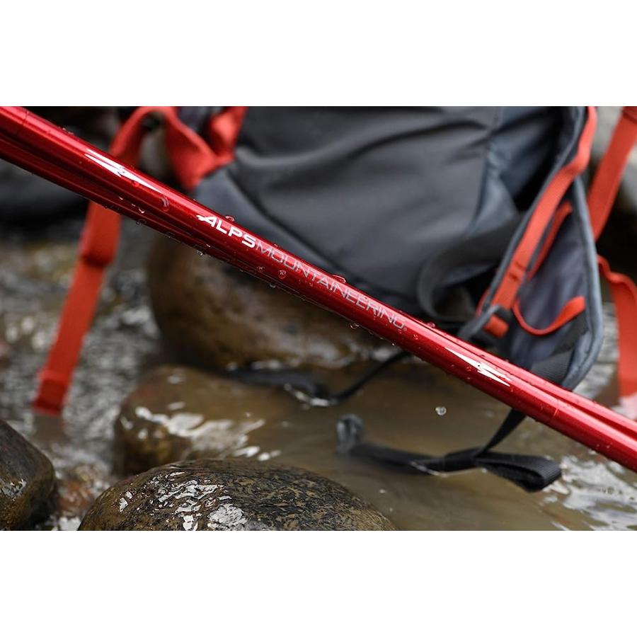 ALPS MOUNTAINEERING CONQUEST TREKKING POLE, RED, RED (7897005) | ALPS MOUNTAINEERING | 05