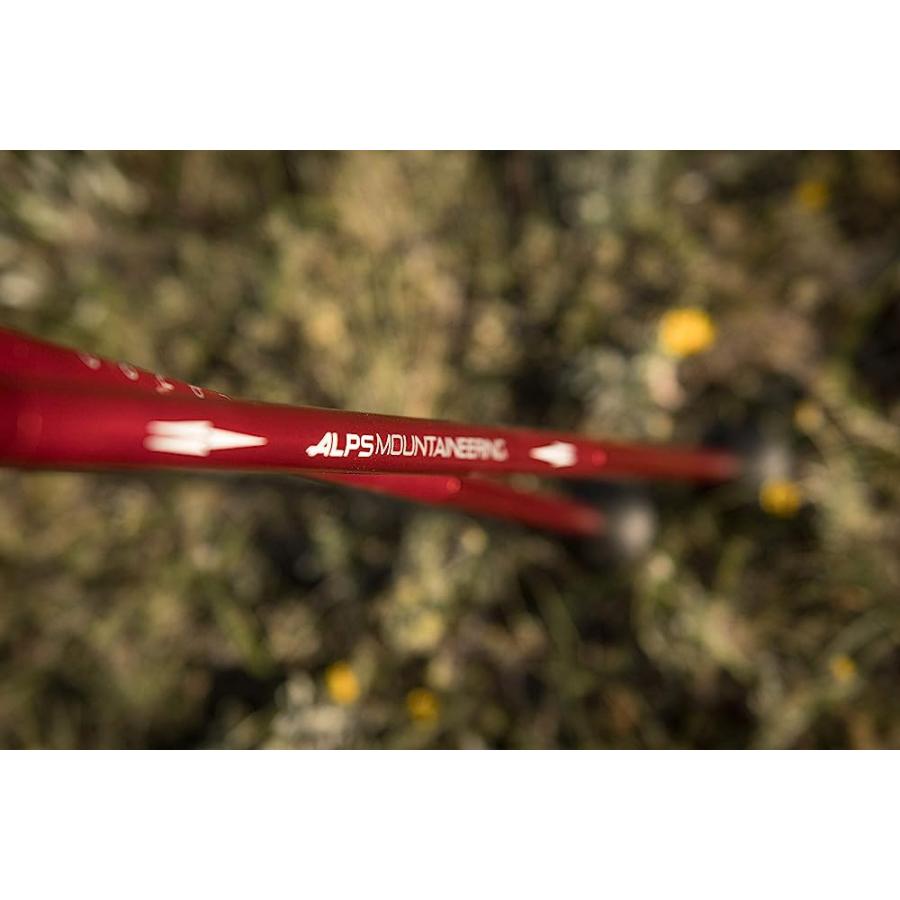ALPS MOUNTAINEERING CONQUEST TREKKING POLE, RED, RED (7897005) | ALPS MOUNTAINEERING | 06