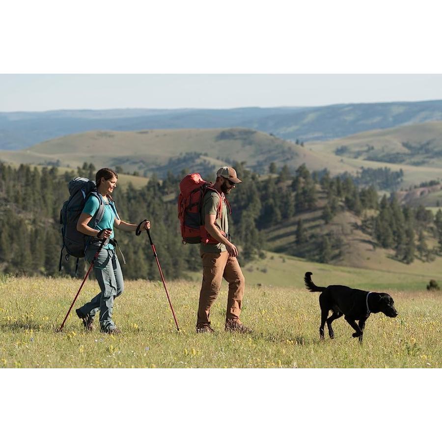 ALPS MOUNTAINEERING CONQUEST TREKKING POLE, RED, RED (7897005) | ALPS MOUNTAINEERING | 07