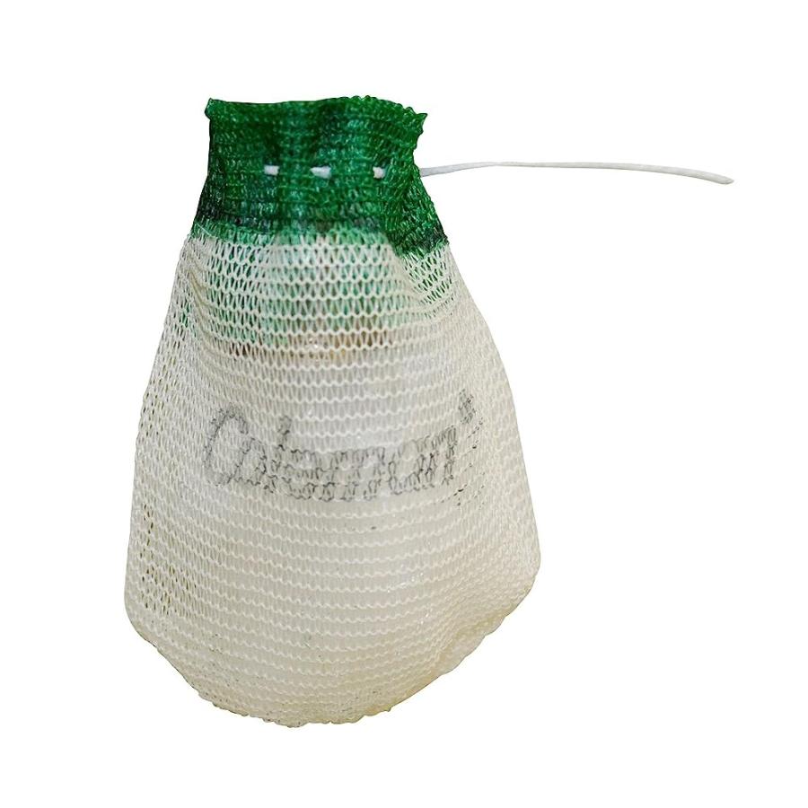 COLEMAN MANTLE 21B INSTACLIP WIRE 2PK C050 | Coleman | 01