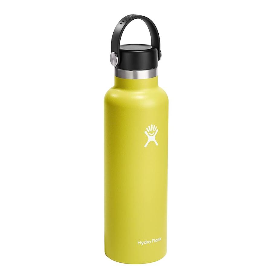 HYDRO FLASK 21 OZ STANDARD MOUTH WITH FLEX CAP STAINLESS STEEL REUSABLE WATER BOTTLE CACTUS -VACUUM INSULATED, DISHWASHER SAFE, BPA-FREE, NON-TOX | HYDRO FLASK | 01