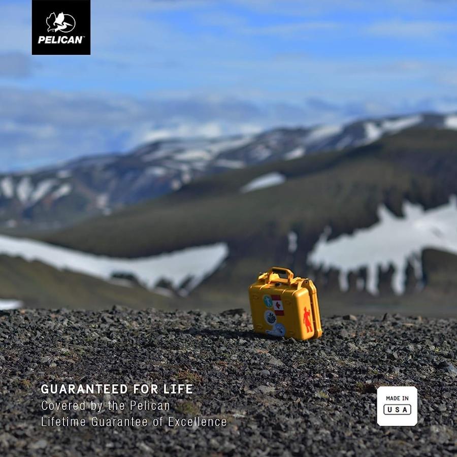 PELICAN 1120 CASE WITH FOAM (BLACK) | PELICAN PRODUCTS | 05