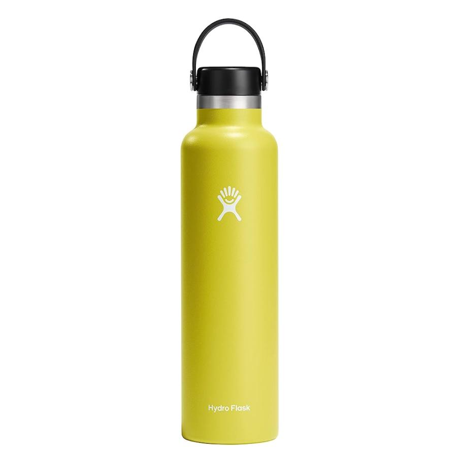 HYDRO FLASK 24 OZ STANDARD MOUTH WITH FLEX CAP STAINLESS STEEL REUSABLE WATER BOTTLE CACTUS -VACUUM INSULATED, DISHWASHER SAFE, BPA-FREE, NON-TOX | HYDRO FLASK
