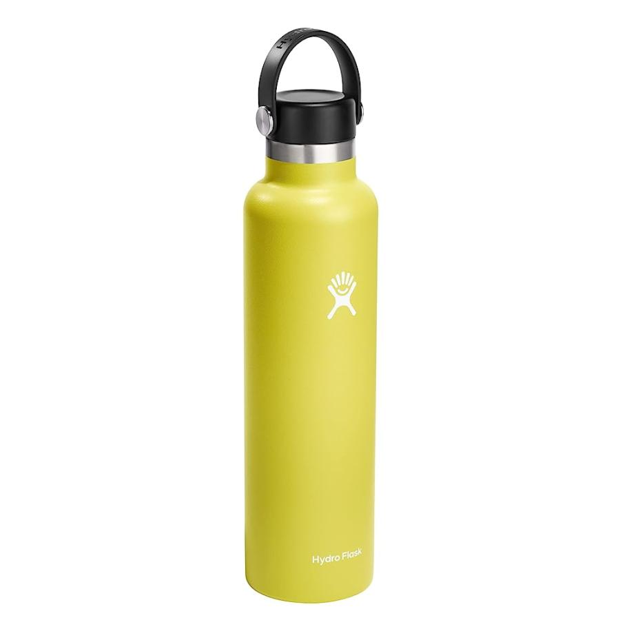 HYDRO FLASK 24 OZ STANDARD MOUTH WITH FLEX CAP STAINLESS STEEL REUSABLE WATER BOTTLE CACTUS -VACUUM INSULATED, DISHWASHER SAFE, BPA-FREE, NON-TOX | HYDRO FLASK | 01
