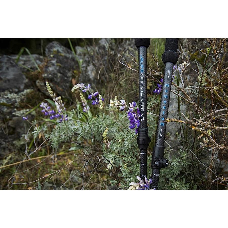 ALPS MOUNTAINEERING MOMENTUM TREKKING POLE | ALPS MOUNTAINEERING | 05