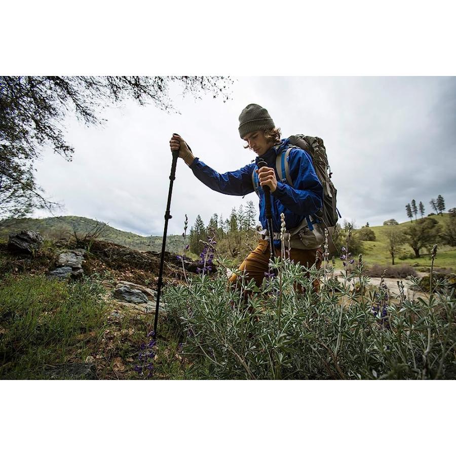 ALPS MOUNTAINEERING MOMENTUM TREKKING POLE | ALPS MOUNTAINEERING | 06