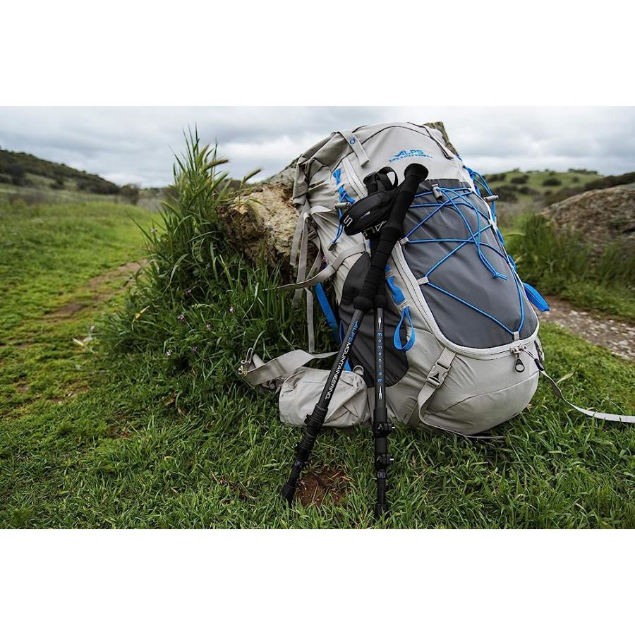 ALPS MOUNTAINEERING MOMENTUM TREKKING POLE | ALPS MOUNTAINEERING | 07