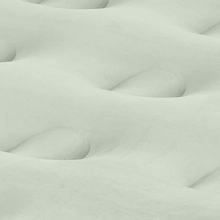 Coleman Air Mattress Double-High SupportRest Air Bed for Indoor or Outdoor Use , Green | Coleman | 04