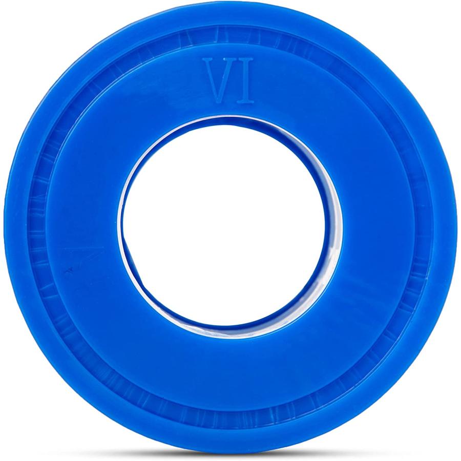 Coleman Bestway Spa Filter Pump Replacement Cartridge Type VI | Coleman | 01