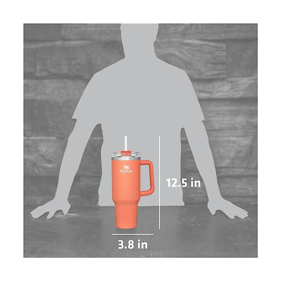 STANLEY THE BIG GRIP TRAVEL QUENCHER GRAPEFRUIT, 1 EA | STANLEY | 05