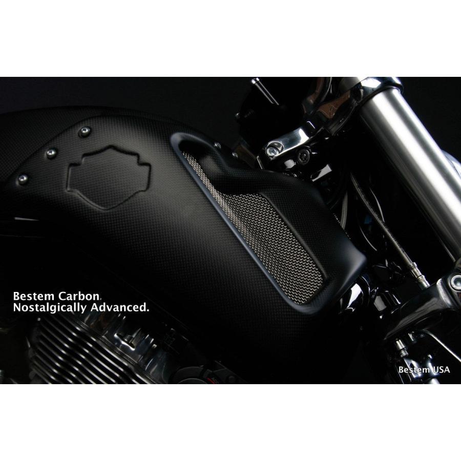リアフェンダ　V-ROD ハーレーダビッドソンVRSCF V-ロッドマッスルカーボンファイバーサイドフェアリング、マット仕上げ Harley Davi