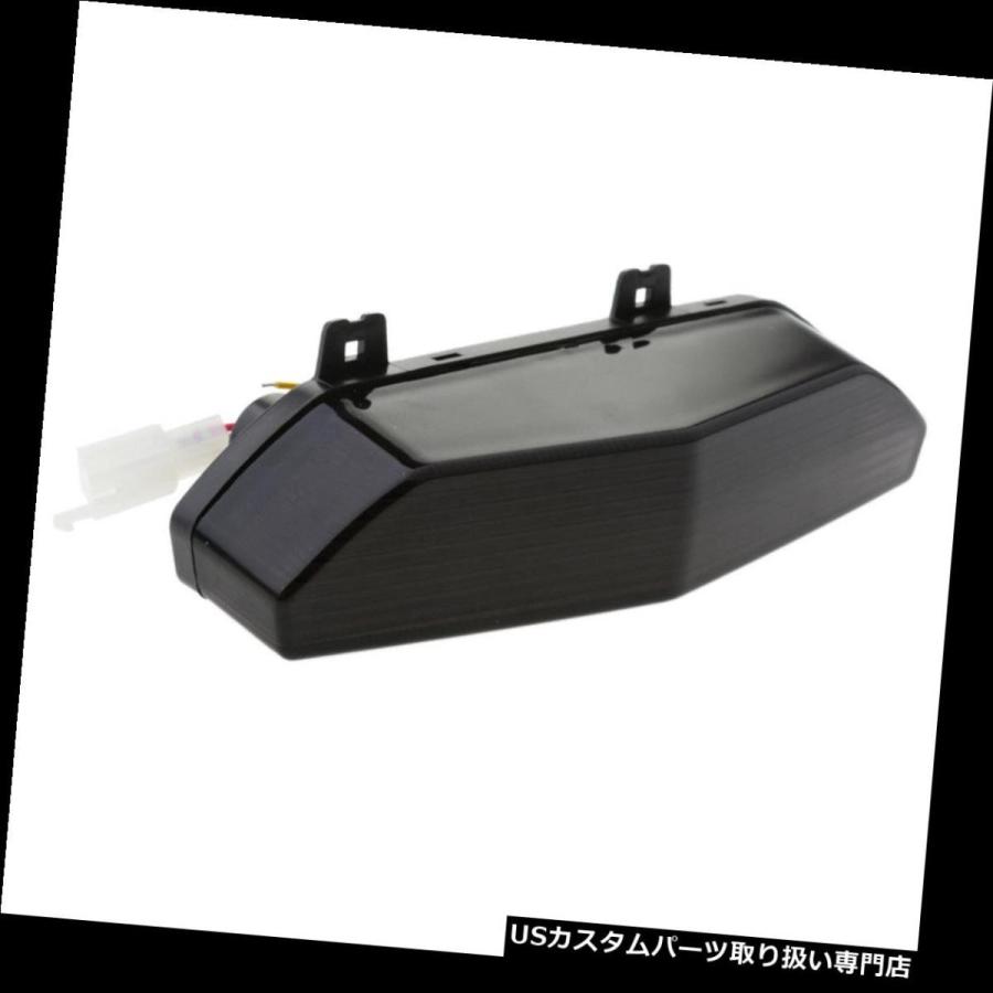 スモークレンズ スモークテール LEDテール ランプ 2018-2024 Z400用