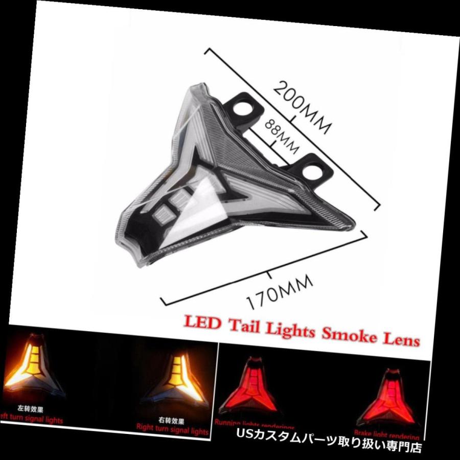 USテールライト KAWASAKI Z1000のための統合されたLEDの尾ライト煙