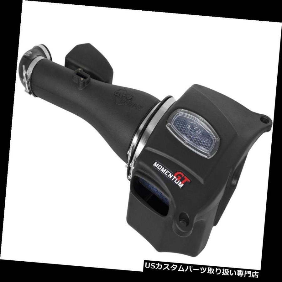 USエアインテーク インナーダクト aFeパワー54-76104 Momentum GT Pro