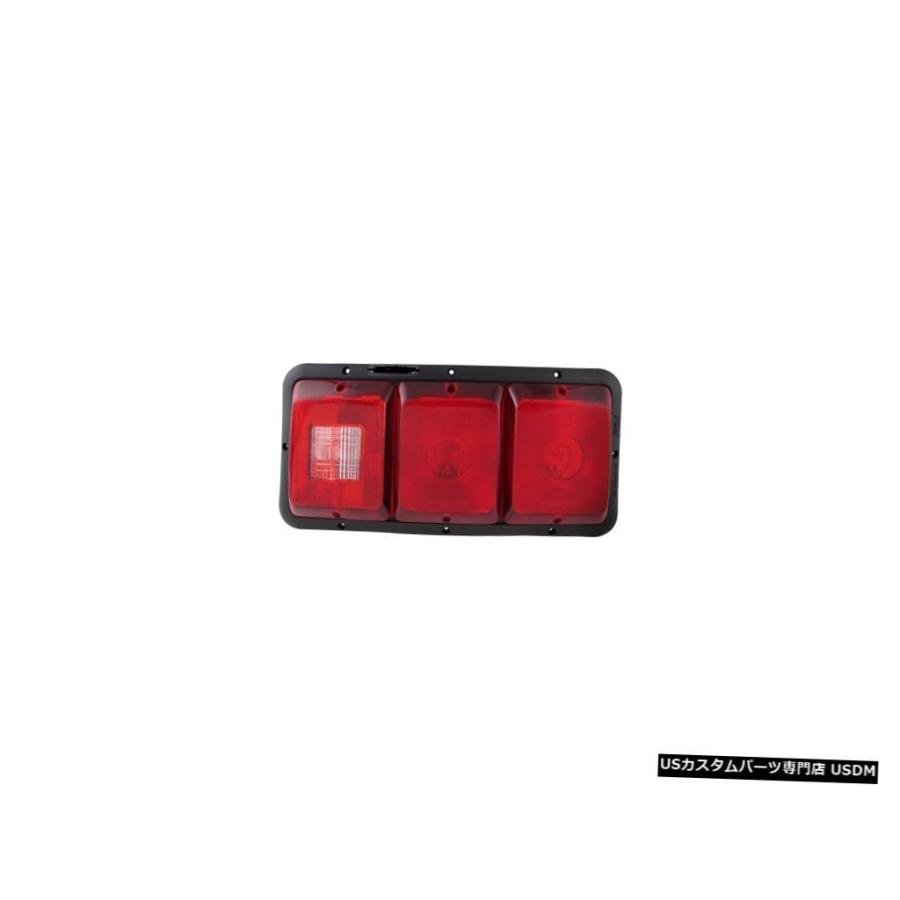 Tail light FLEETWOOD FLAIR 2002 2003 RIGHT PASSENGER TAILLIGHT TAIL LIGHT R