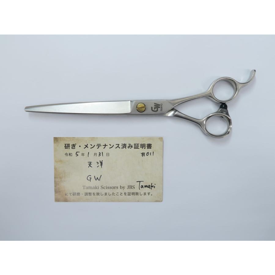 Tenyo G2 理美容師シザー 【公式通販】