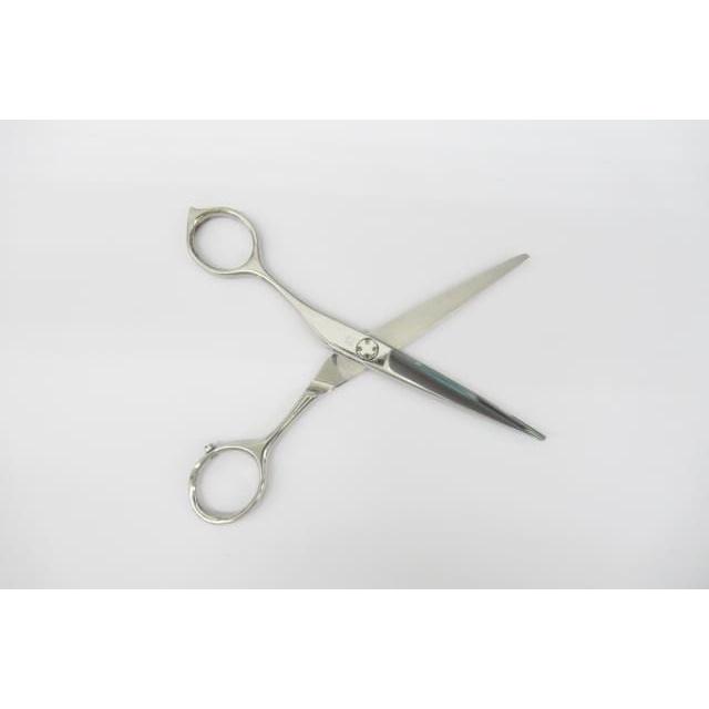 Bランク【OKAWA PRO SCISSORS オオカワプロシザーズ】 SG55シザー