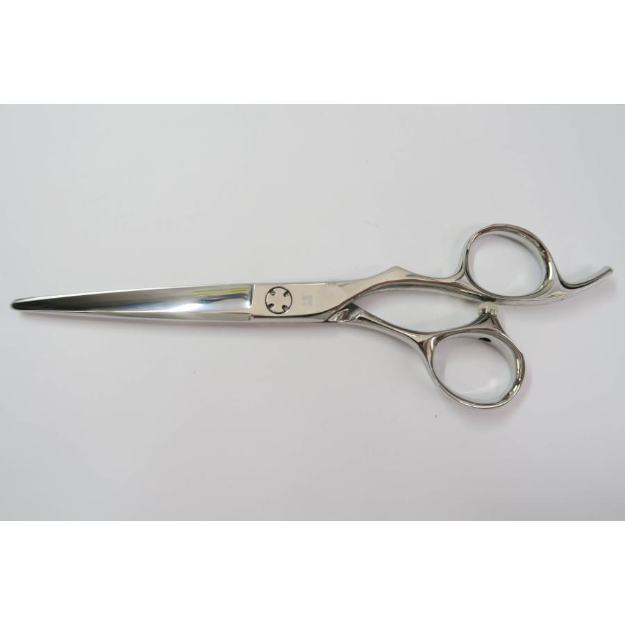 オオカワプロシザー