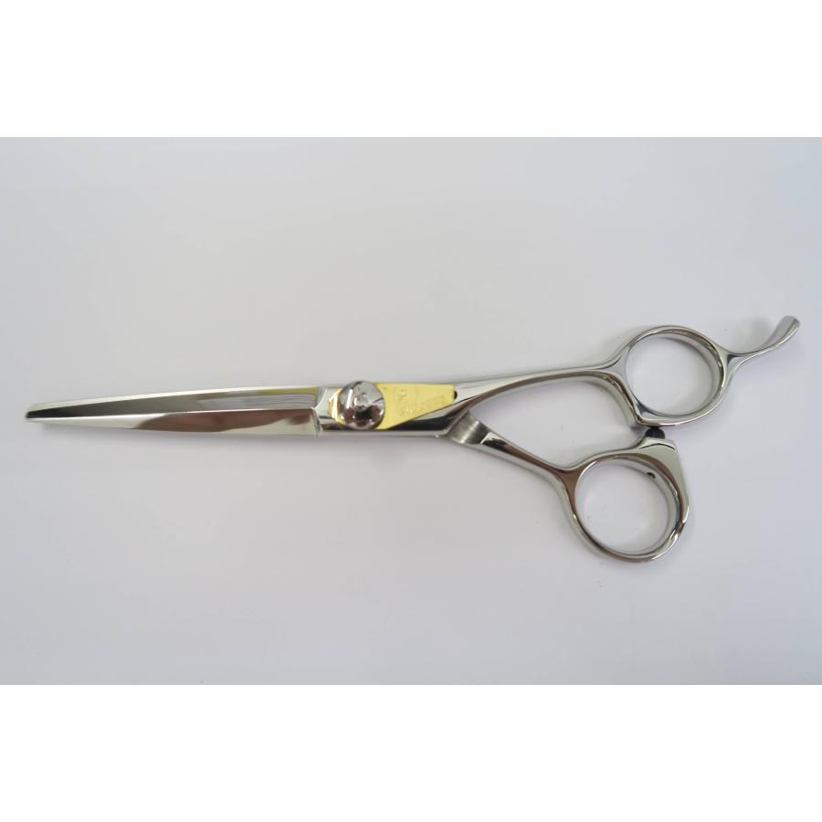 美容師 シザー サクシード 6.0インチ 【公式通販】