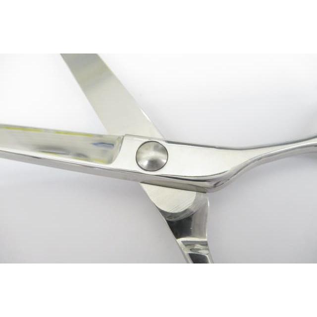 Cランク【タマコーシザース】 ニューおそらくシザー ハサミ鋏 はさみ