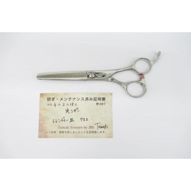 憧れの ヒカリ トレンディIII 732 40目 fawe.org