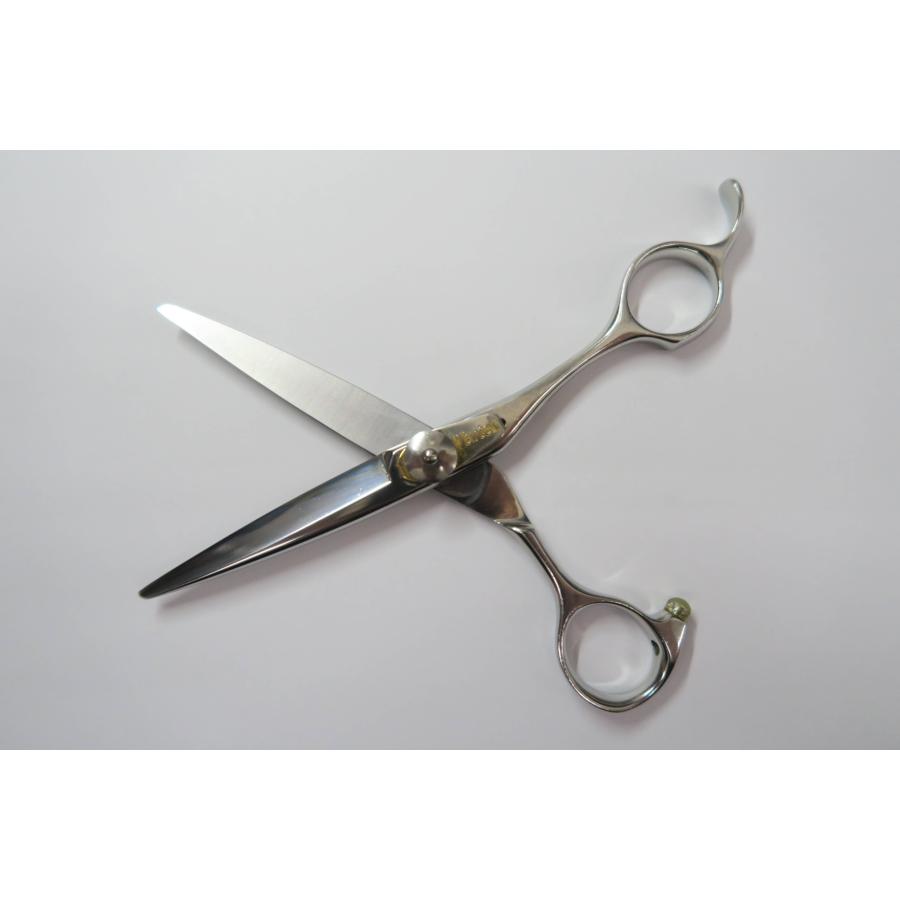 ネットワークシザー　vertex 美容　理容 Bランク NETWORK ネットワーク Vertex バーテックスシザー 美容