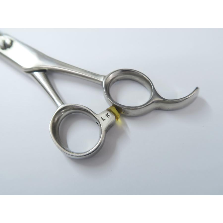 Dランク 天洋 Tenyo GXシザー 美容師・理容師 6.8インチ 右利き