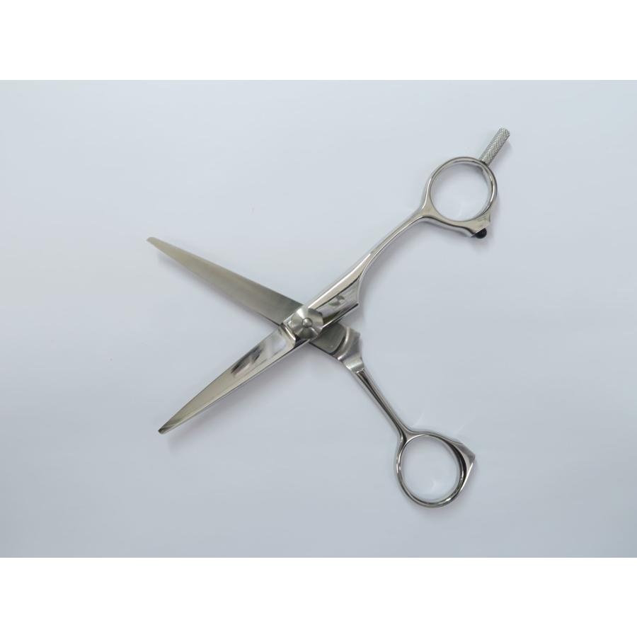 シザー　サクシード　succeed 5.5インチ　美容師　理容師　ヘアカット Bランク SUCCEED サクシード CUT.L 5.5 カットエルシザー 美容師