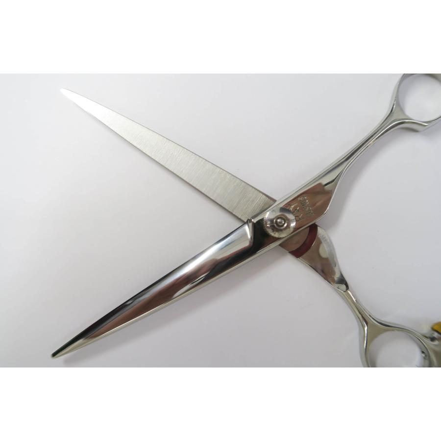 光シザー　133 ② コスモス_2.jpg