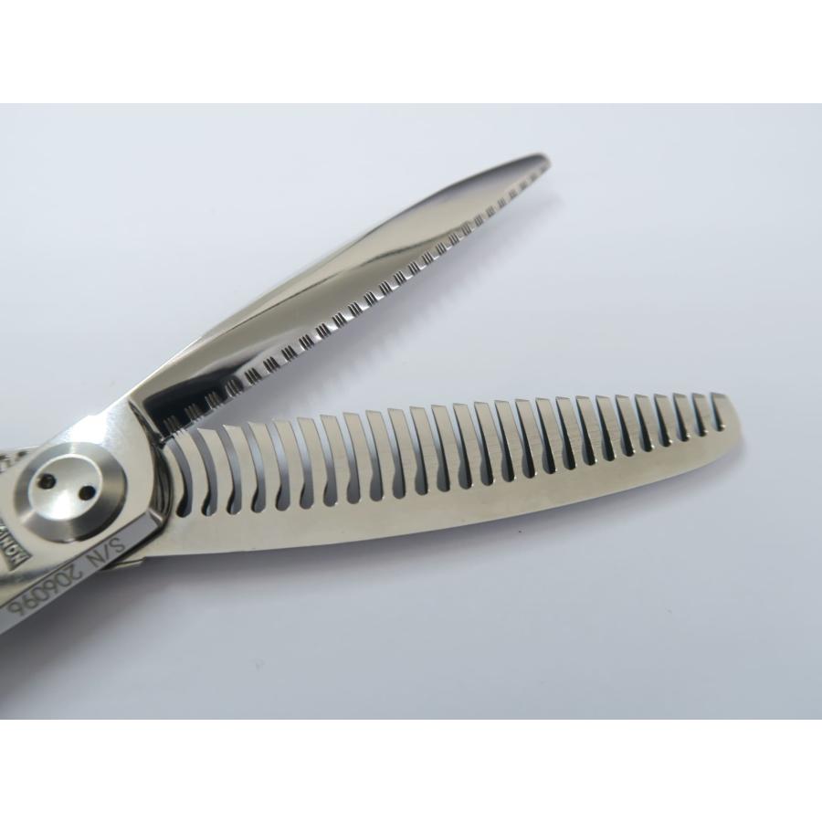 Bランク トギノン TOGINON DYNA SAURUS ダイナザウルス リバース