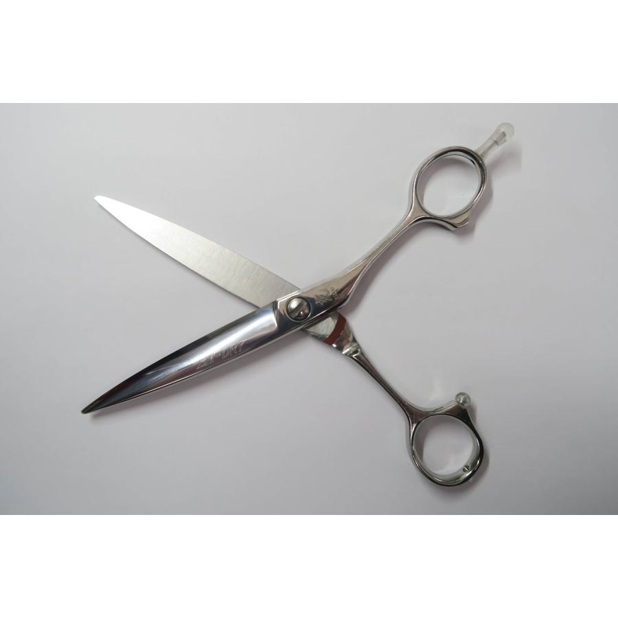 ヒカリ シザー Arc Bランク 光シザー HIKARI ヒカリ BM-DRY COSMOS 186シザー 美容師