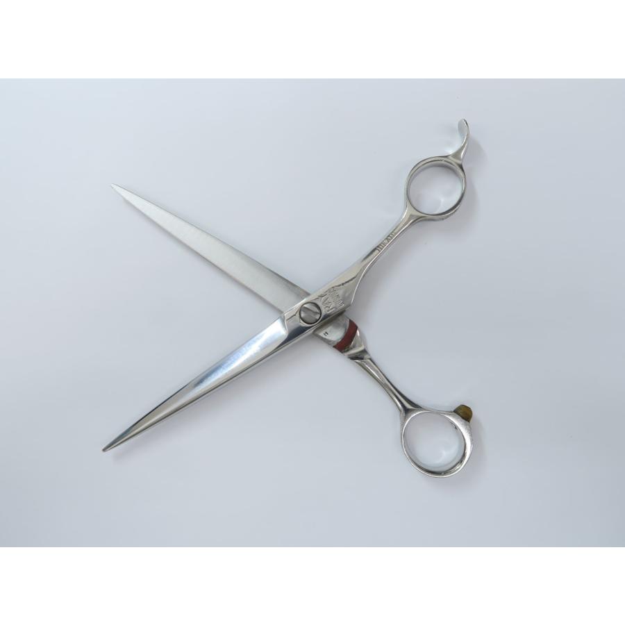 97％以上節約Bランク 光シザー HIKARI ヒカリ RAY COSMOS 中古研ぎ