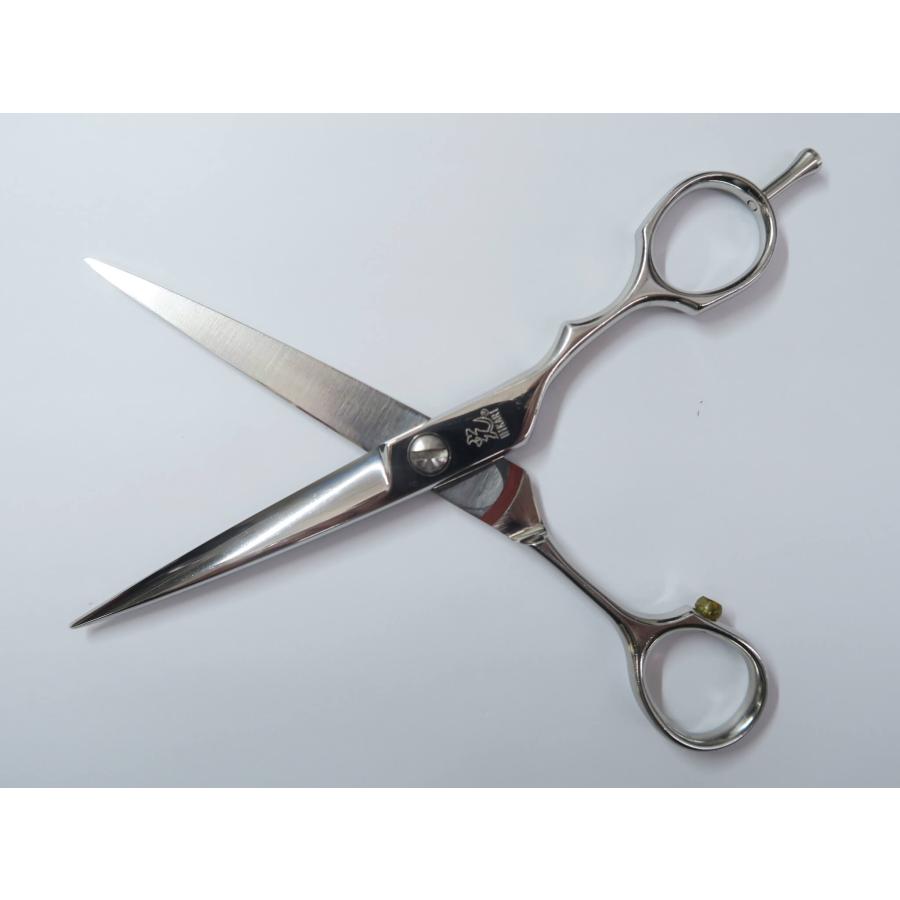 Bランク 光シザー HIKARI ヒカリ GENJI 526シザー 美容師・理容師 6.0