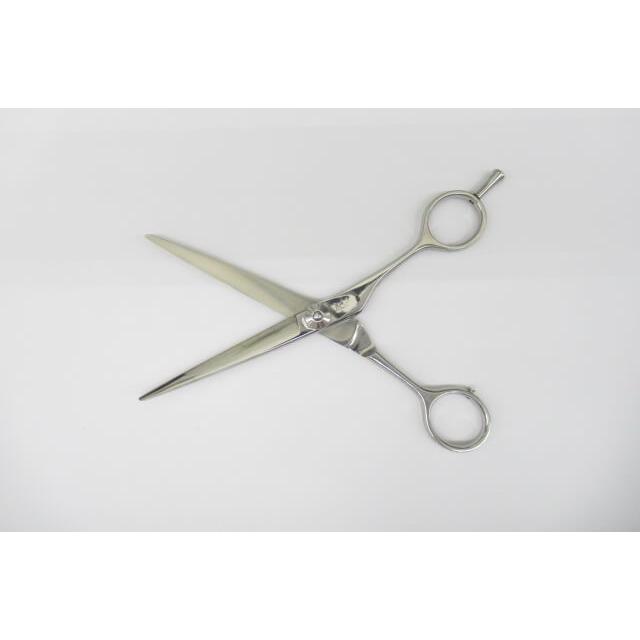 Bランク【NETWORK ネットワーク】 NSPシザー ハサミ鋏 はさみ 美容師