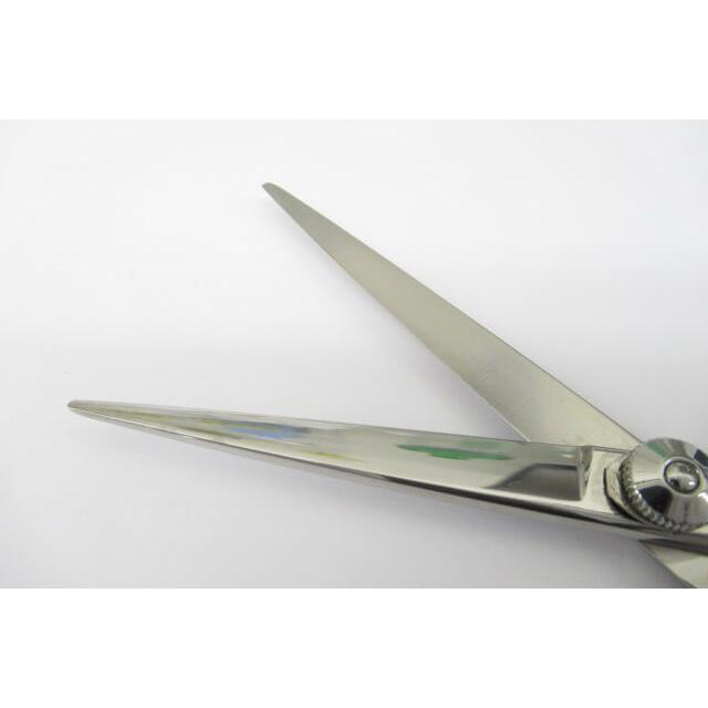 Bランク【NETWORK ネットワーク】 NSPシザー ハサミ鋏 はさみ 美容師