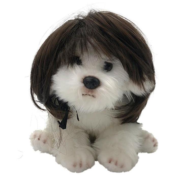 Dulala ペット用品 かつら 面白い かわいい かっこいい コスチューム 猫 犬 ソフト 小型犬 中型犬 変身服 ll56 Dulala 通販 Yahoo ショッピング