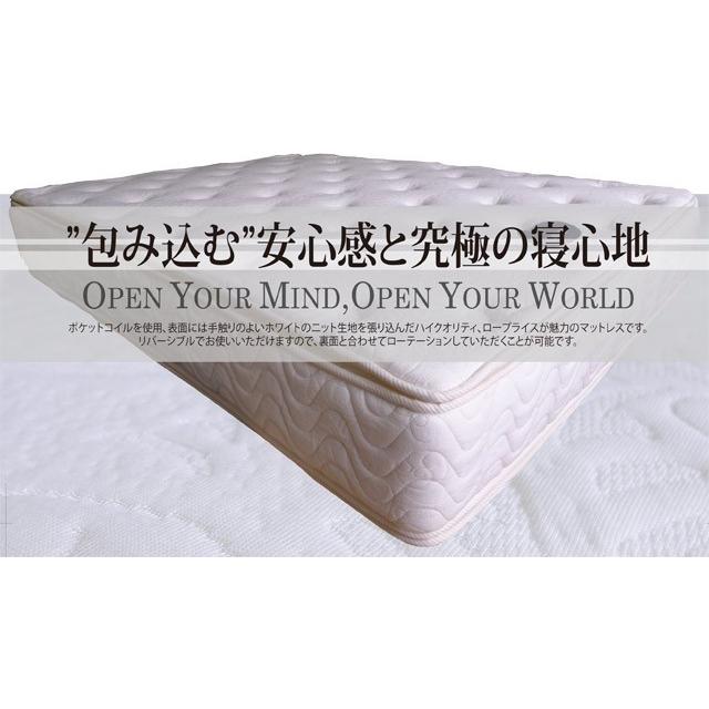 単品購入専用 アウトレット輸入家具 マットレス Pillow Top クイーン STYLUTION｜usf｜07