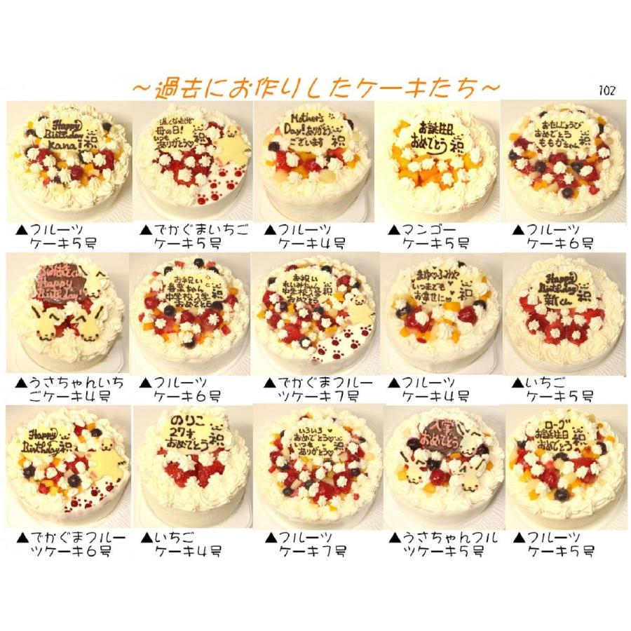 りんごアイスケーキ７号 バースデーケーキ 誕生日ケーキ パーティー 限定 大きいケーキ フローズン紅玉りんごと生乳アイスデコレーションケーキ Usha 1004 うしゃぎさん 通販 Yahoo ショッピング