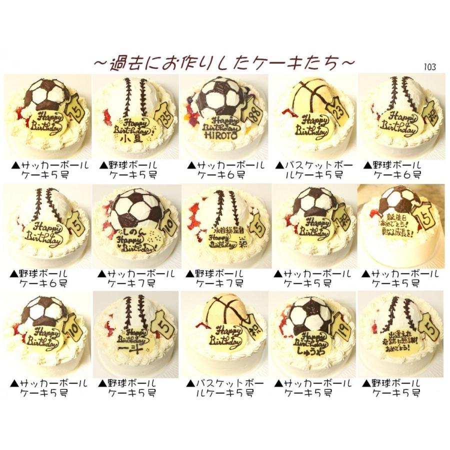 うさちゃん生クリームケーキ６号（いちごorフルーツorマンゴー選択） バースデーケーキ 誕生日ケーキ 女性 人気 キャラクター かわいいケーキ_11