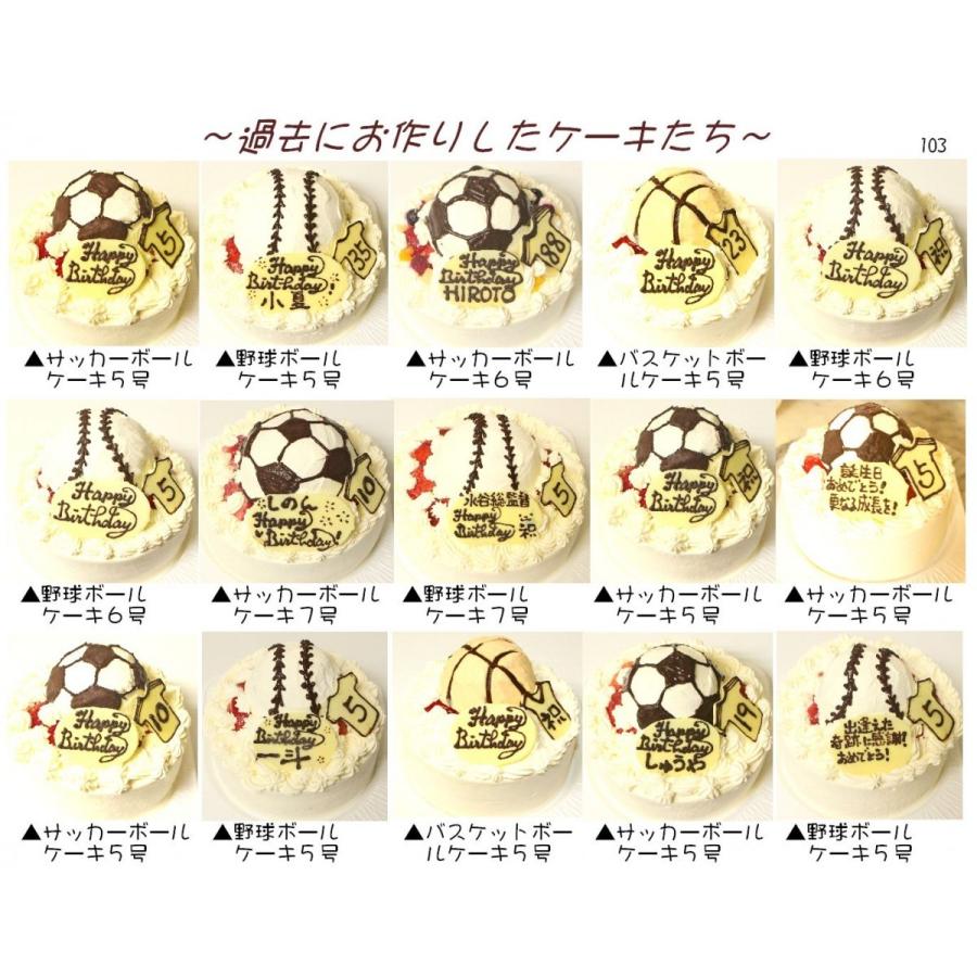 いちごアイスケーキ７号 バースデーアイスケーキ 誕生日アイスケーキ 子供の日パーティー 苺たっぷり ストロベリーケーキ パーティーケーキ 大きいケーキ｜ushagisan｜14