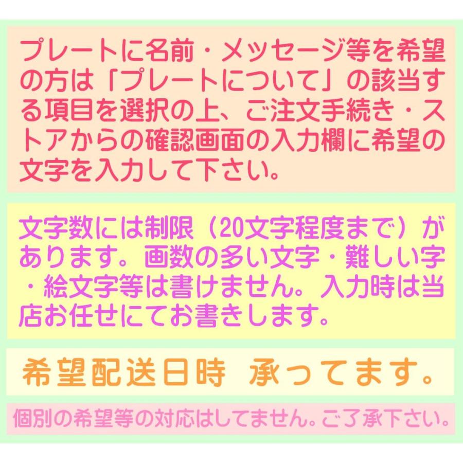 いちごアイスケーキ７号 バースデーアイスケーキ 誕生日アイスケーキ 子供の日パーティー 苺たっぷり ストロベリーケーキ パーティーケーキ 大きいケーキ｜ushagisan｜05