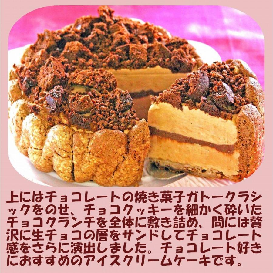 チョコレートアイスケーキ６号 バースデーケーキ 誕生日チョコケーキ チョコレートケーキ ビター クーベルチュール アイスクリームケーキ アニバーサリー Usha 117 うしゃぎさん 通販 Yahoo ショッピング
